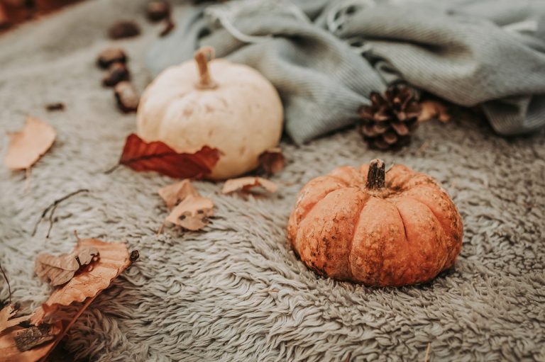 Wunderbunt Fotografie Kinderfotografen in Sachsen Wunderbunt Fotografie Kinderfotografen in Sachsen